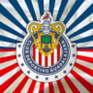 Meet your Posher, Luis